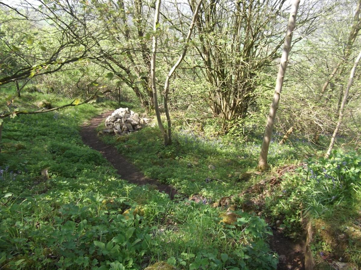 Hall Dale View Near Matlock & Peak District Exterior foto